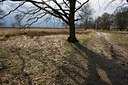 BUITEN BEELD Foto: 31650