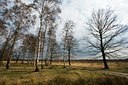 BUITEN BEELD Foto: 31660