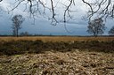 BUITEN BEELD Foto: 31663