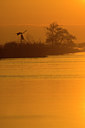 BUITEN BEELD Foto: 31768