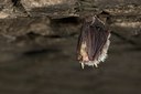 BUITEN BEELD Foto: 31884