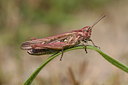 BUITEN BEELD Foto: 31909