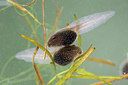 BUITEN BEELD Foto: 31929