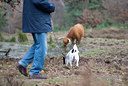 BUITEN BEELD Foto: 31946