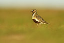 BUITEN BEELD Foto: 319006