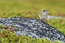BUITEN BEELD Foto: 319060