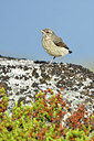 BUITEN BEELD Foto: 319065