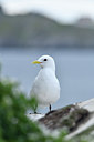 BUITEN BEELD Foto: 319080