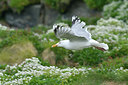 BUITEN BEELD Foto: 319106
