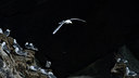 BUITEN BEELD Foto: 319150
