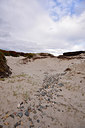 BUITEN BEELD Foto: 319327