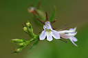 BUITEN BEELD Foto: 319349