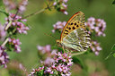 BUITEN BEELD Foto: 319356