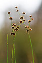 BUITEN BEELD Foto: 319399
