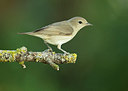 BUITEN BEELD Foto: 319460