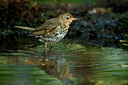 BUITEN BEELD Foto: 319461