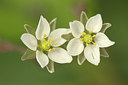 BUITEN BEELD Foto: 319462