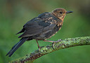 BUITEN BEELD Foto: 319481