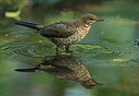BUITEN BEELD Foto: 319483