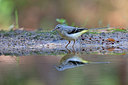 BUITEN BEELD Foto: 319487