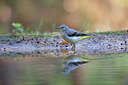 BUITEN BEELD Foto: 319488