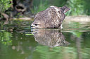BUITEN BEELD Foto: 319521