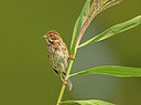 BUITEN BEELD Foto: 319555