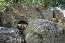 BUITEN BEELD Foto: 319637