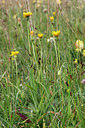 BUITEN BEELD Foto: 320322