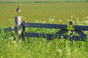 BUITEN BEELD Foto: 320361