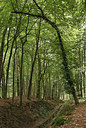 BUITEN BEELD Foto: 320389