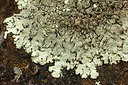 BUITEN BEELD Foto: 320406
