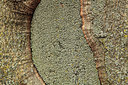 BUITEN BEELD Foto: 320411