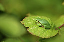 BUITEN BEELD Foto: 320427