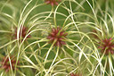 BUITEN BEELD Foto: 320456