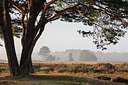 BUITEN BEELD Foto: 320469