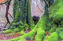 BUITEN BEELD Foto: 320504