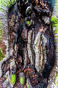 BUITEN BEELD Foto: 320512