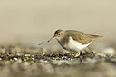 BUITEN BEELD Foto: 320539