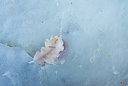 BUITEN BEELD Foto: 320590