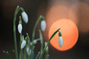 BUITEN BEELD Foto: 320721