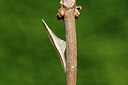 BUITEN BEELD Foto: 320756
