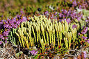 BUITEN BEELD Foto: 320779