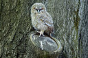 BUITEN BEELD Foto: 320782