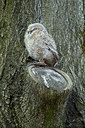 BUITEN BEELD Foto: 320783