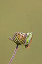 BUITEN BEELD Foto: 320787