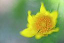BUITEN BEELD Foto: 320863