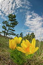 BUITEN BEELD Foto: 320893