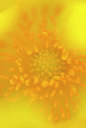 BUITEN BEELD Foto: 320931