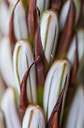 BUITEN BEELD Foto: 320954